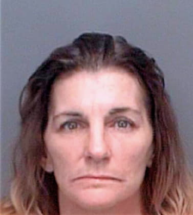 Devine Debra - Pinellas County, FL 