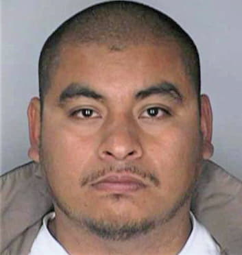 Flores Guillermo - Hillsborough County, FL 
