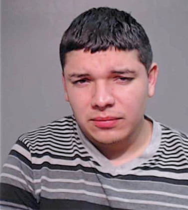 Dominguez Gustavo - Hidalgo County, TX 