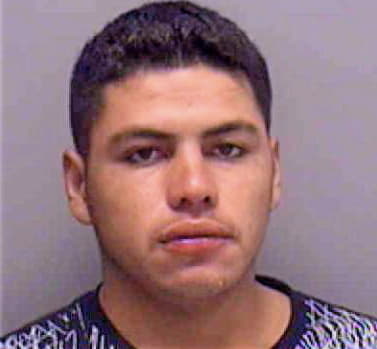 Mendoza Jose - Lee County, FL 