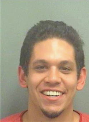 Chernoff Alexander - PalmBeach County, FL 