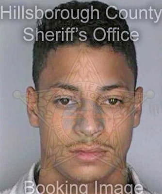 Morales Angel - Hillsborough County, FL 
