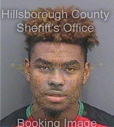 Taylor Arvail - Hillsborough County, FL 