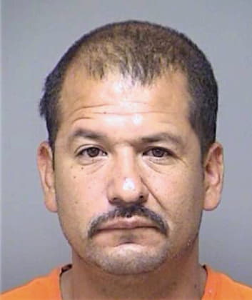 Torres Hector - Denton County, TX 
