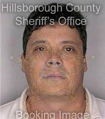 Terrazas Humberto - Hillsborough County, FL 