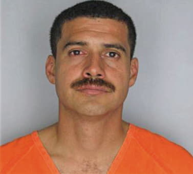 Alvarez Luis - Hillsborough County, FL 