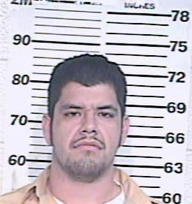 Garza Omar - Hidalgo County, TX 
