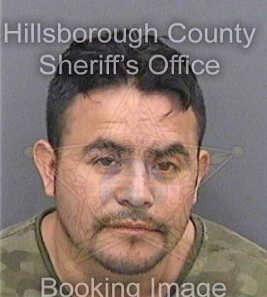 Zarzaorozco Santiago - Hillsborough County, FL 