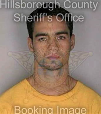 Evans Davy - Hillsborough County, FL 