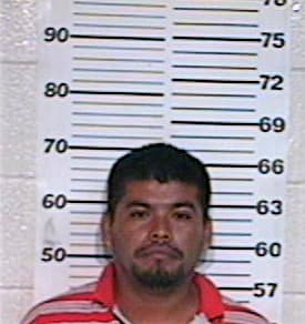 Sanchez Alejandro - Hidalgo County, TX 