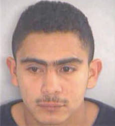 Bonilla Gerson - Fulton County, GA 