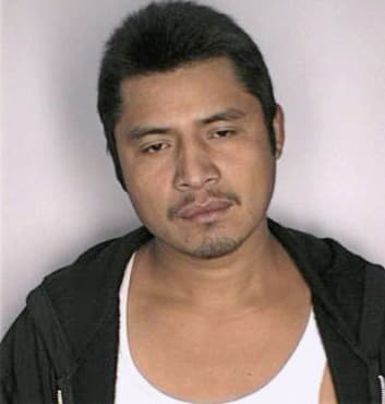 Lopezgonzalez Alvino - Hillsborough County, FL 