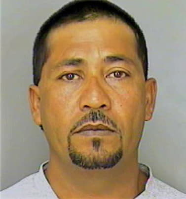 Gonzalez Vincente - Polk County, FL 