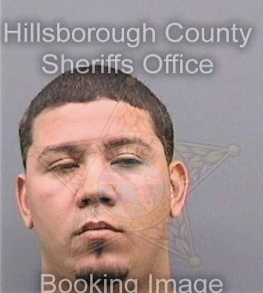 Diazrivera Fernando - Hillsborough County, FL 