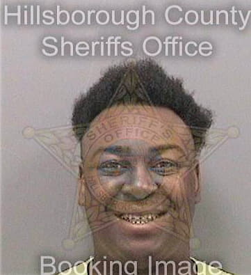 Mckinney Kelvin - Hillsborough County, FL 