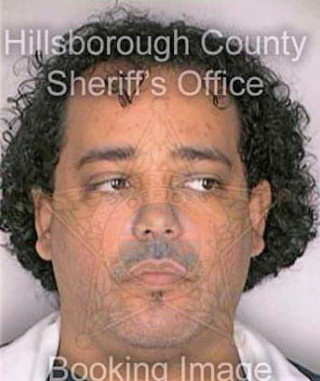 Alicea Michael - Hillsborough County, FL 