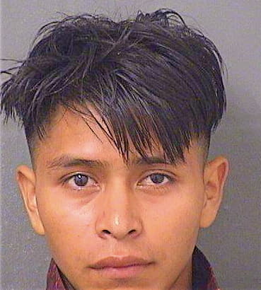 Sebastianpedro Sebastian - PalmBeach County, FL 