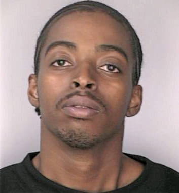 Dickerson Brian - Hillsborough County, FL 