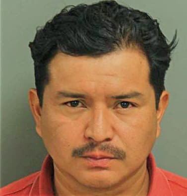 Castillo-Martine German - Wake County, NC 