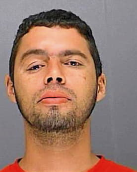 Rodrigues Amadeu - Volusia County, FL 