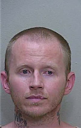 Lubin Charles - Marion County, FL 
