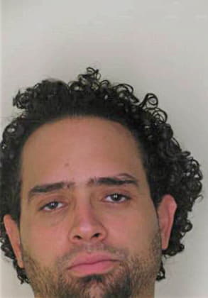 Hernandez Christopher - Hillsborough County, FL 
