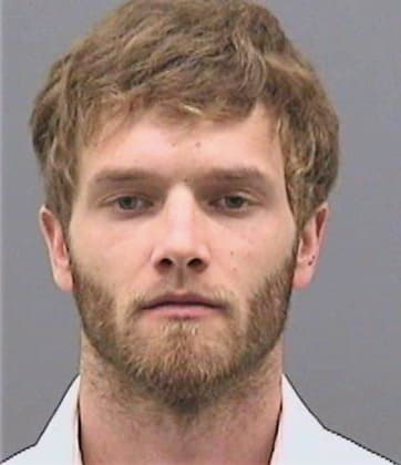 Peters David - Hillsborough County, FL 