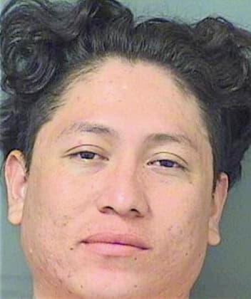 Velasquezvasquez Edwar - PalmBeach County, FL 
