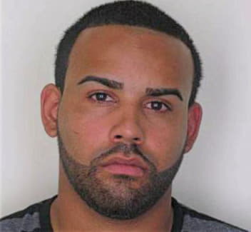 Ramirez Antonio - Hillsborough County, FL 