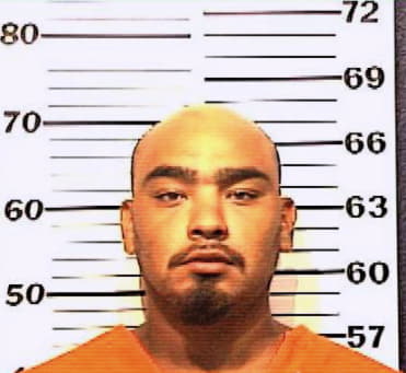 Andrade Christopher - Denton County, TX 