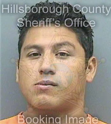 Silvavasquez Frederic - Hillsborough County, FL 