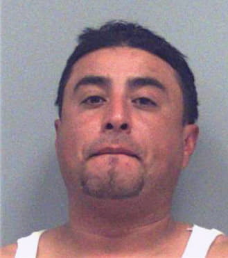 Pinto-Giron Geral - Gwinnett County, GA 