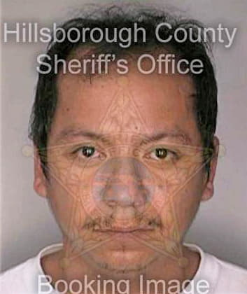 Torres Jorge - Hillsborough County, FL 