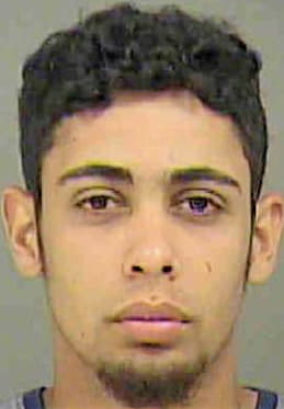 Pichardo Oris - Mecklenburg County, NC 