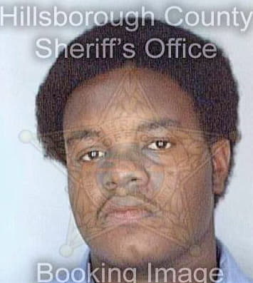 Sykes Sheldon - Hillsborough County, FL 