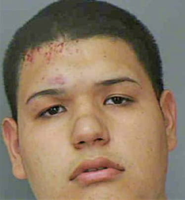 Cardenas Tony - Polk County, FL 