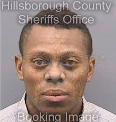 Davis Adonijah - Hillsborough County, FL 
