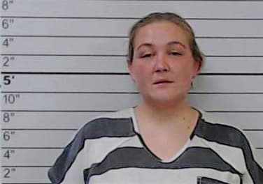 Corbell Brittany - Lee County, MS 