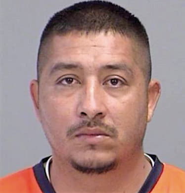 Garcia Celedonio - Brazos County, TX 