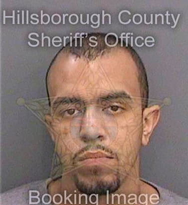 Villanueva Joseph - Hillsborough County, FL 