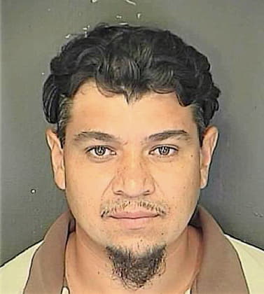 Tinoco Ernesto - Charleston County, SC 