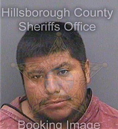 Calihuatehuintle Jaime - Hillsborough County, FL 