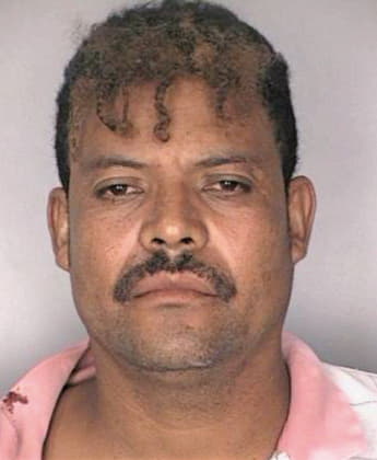 Evo Roy - Hillsborough County, FL 