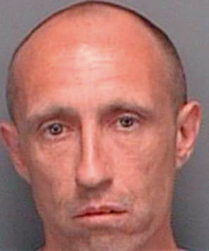 Mcnally Todd - Pinellas County, FL 