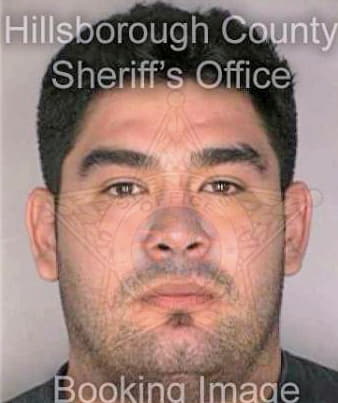 Medina Cesar - Hillsborough County, FL 