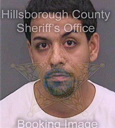 Santiago Mathew - Hillsborough County, FL 