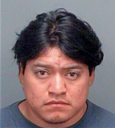 Delacruz Nicolas - Pinellas County, FL 