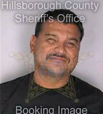 Velez Santiago - Hillsborough County, FL 
