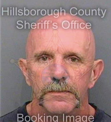 Brown Anthony - Hillsborough County, FL 
