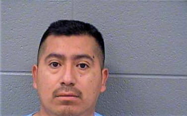 Antele David - Cook County, IL 